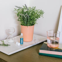 Load image into Gallery viewer, Seek Peace - A Botanical Self-Care Experience