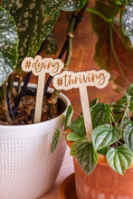 Load image into Gallery viewer, Funny Script Wooden Plant Markers: #Thriving