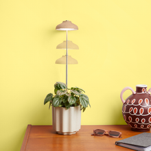 Load image into Gallery viewer, Instant Sun Grow Lamp β The Perfect Light for Your Indoor Plants ππΏ