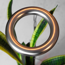 Load image into Gallery viewer, The Perfect Gift for Plant Lovers: Thrive Lite® Full Spectrum LED Grow Light