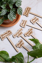 Load image into Gallery viewer, Funny Wooden Plant Markers: "You Grow Girl!"