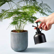 Load image into Gallery viewer, Elegant Plant Misters β The Perfect Companion for Growing Greenery