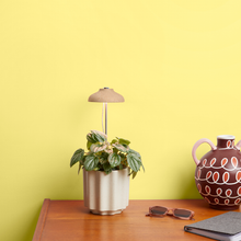 Load image into Gallery viewer, Instant Sun Grow Lamp β The Perfect Light for Your Indoor Plants ππΏ