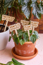 Load image into Gallery viewer, " I'm diggin' you"-Funny Wooden Plant Markers β The Perfect Gift for Plant Lovers!