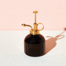 Load image into Gallery viewer, Elegant Plant Misters β The Perfect Companion for Growing Greenery