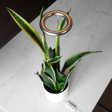 Load image into Gallery viewer, The Perfect Gift for Plant Lovers: Thrive Lite® Full Spectrum LED Grow Light