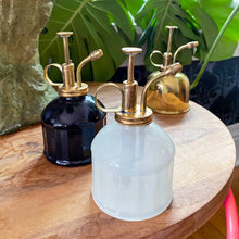 Load image into Gallery viewer, Elegant Plant Misters β The Perfect Companion for Growing Greenery
