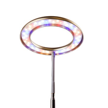 Load image into Gallery viewer, The Perfect Gift for Plant Lovers: Thrive Lite® Full Spectrum LED Grow Light
