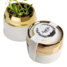 Load image into Gallery viewer, Clara | Growing Candle, flower seed-label, eco-friendly: Mint + Eucalyptus
