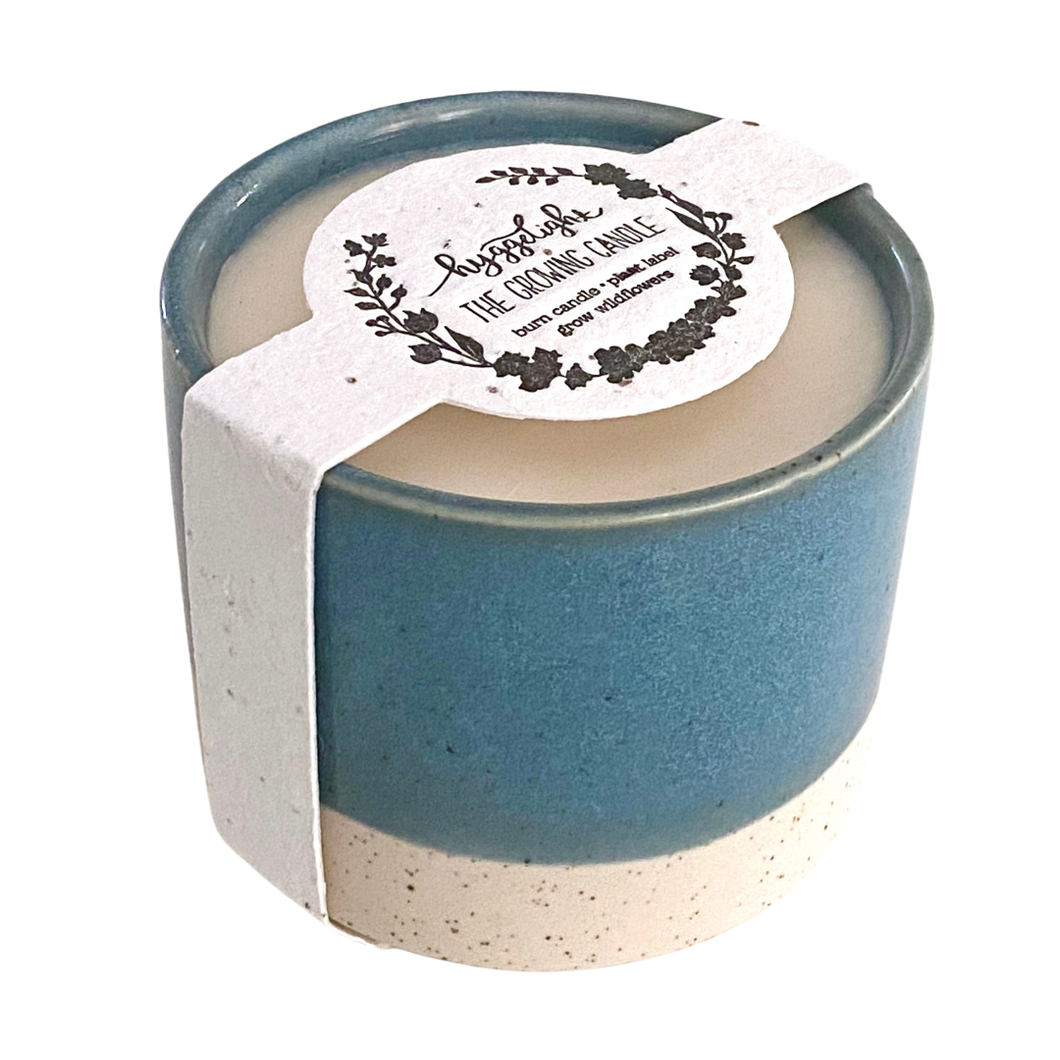 Growing Candle-Willow: Coffee + Cream