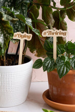 Load image into Gallery viewer, Funny Wooden Plant Markers: &quot;I will survive&quot;
