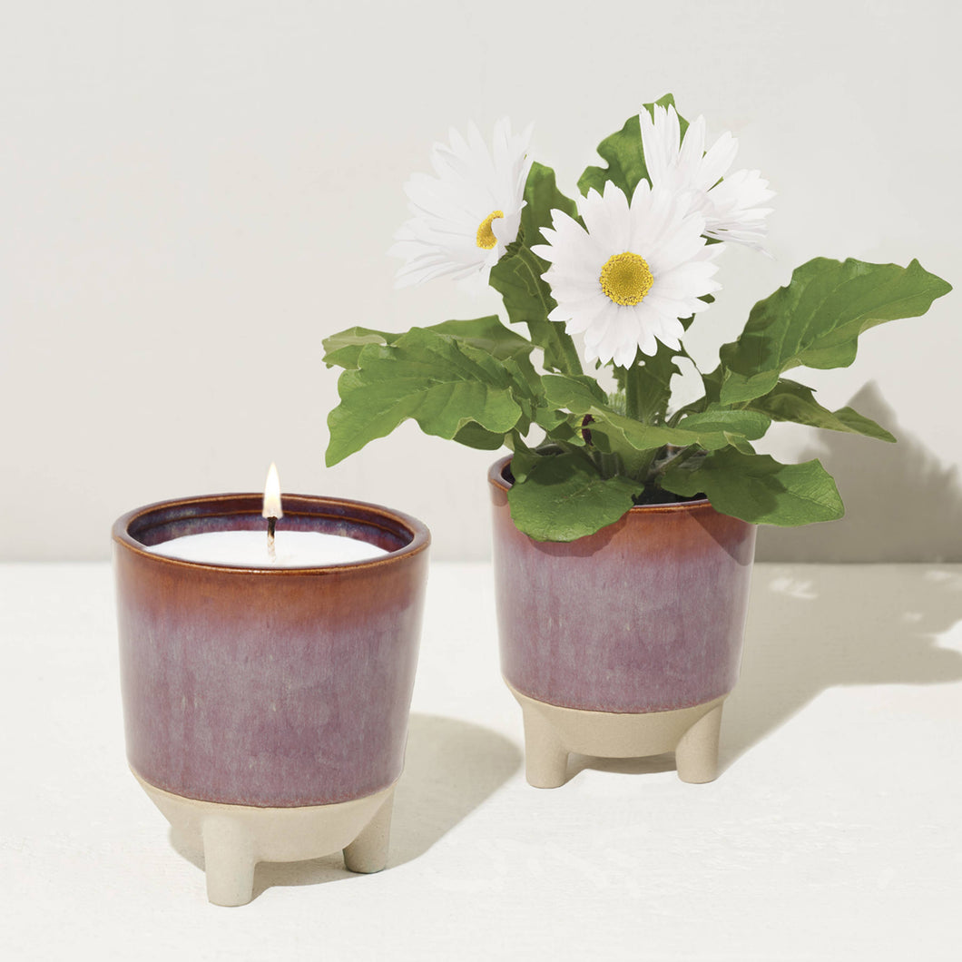 Grow & Glow Candles – A Plant Lover’s Dream Wildflower Fields + Daisy