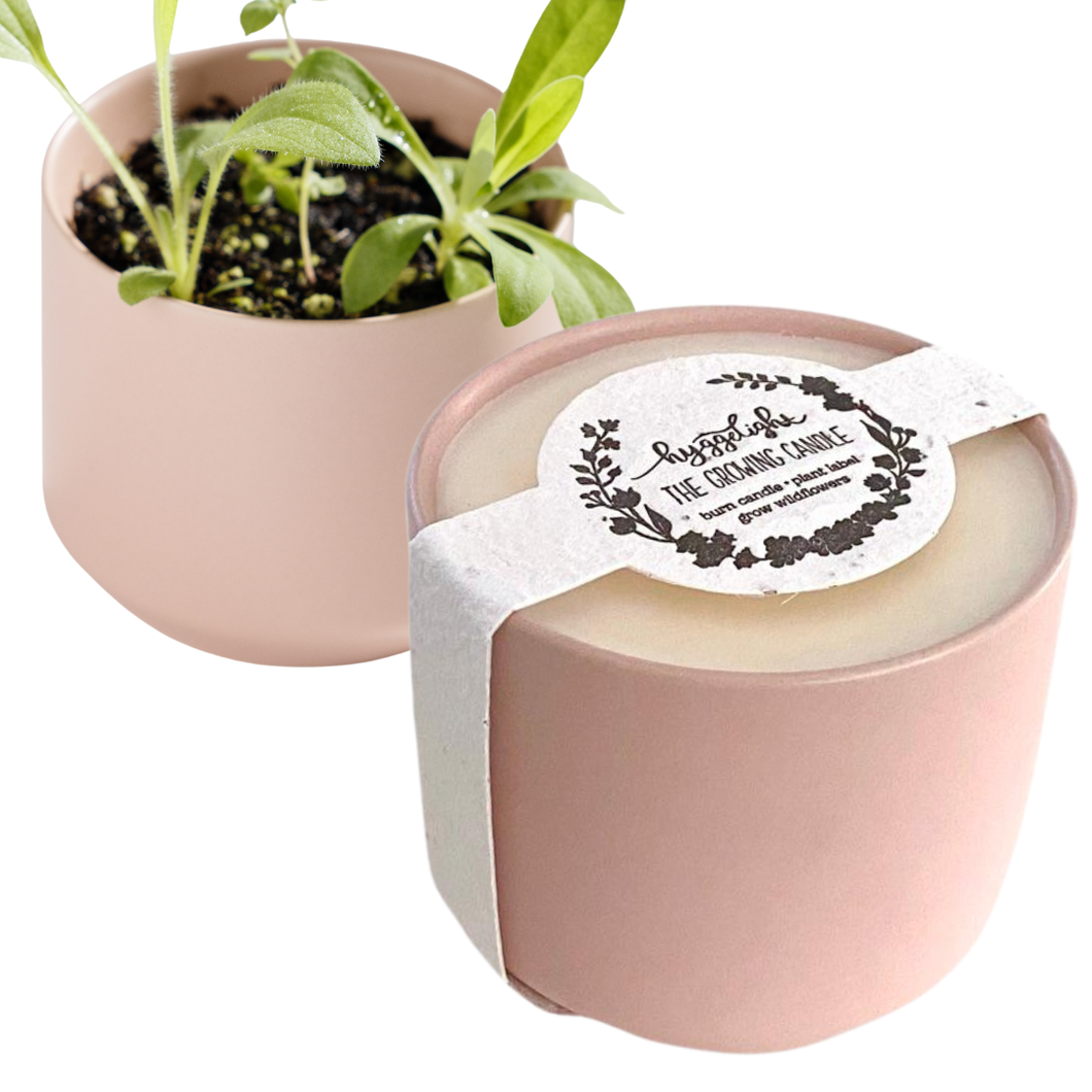 Growing Candle- Light, Enjoy & Grow: Adelyn