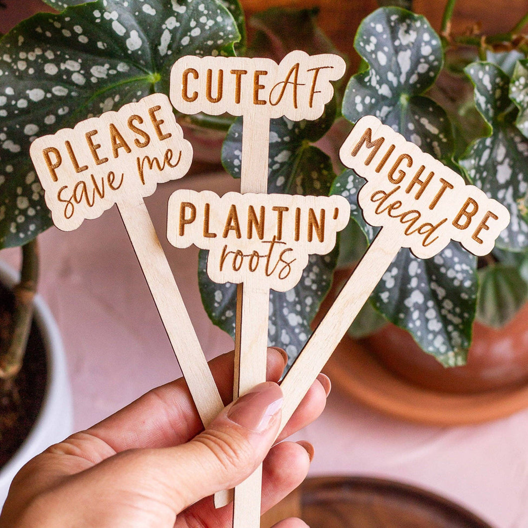 Funny Script Wooden Plant Markers: #Thriving