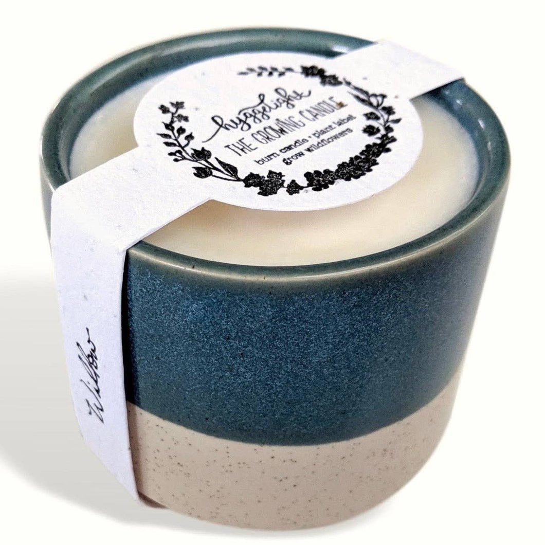 Willow | Growing Candle, flower seed-label, gift idea: NEW! Juniper Citronella