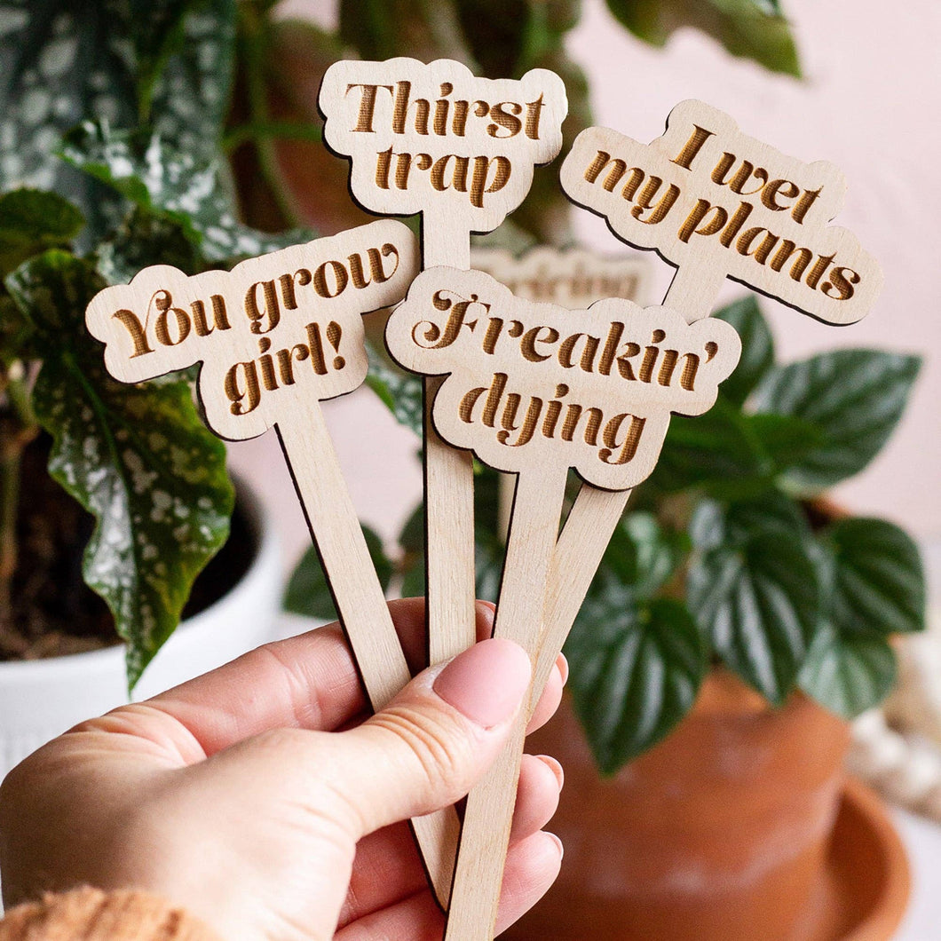 Funny Wooden Plant Markers: 