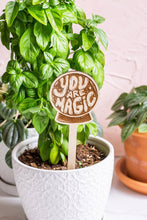Load image into Gallery viewer, Wooden &quot;Your Are Magic&quot; Plant Marker
