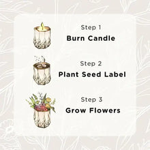 Load image into Gallery viewer, Clara | Growing Candle, flower seed-label, eco-friendly: Mint + Eucalyptus
