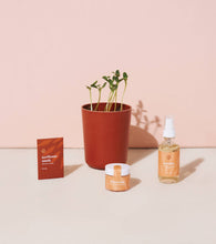 Load image into Gallery viewer, Bloom &amp; Glow: A Self-Care Gift for Plant Lovers
