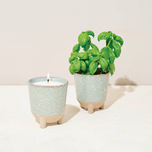 Load image into Gallery viewer, Grow &amp; Glow Candles – A Plant Lover’s Dream Wildflower Fields + Daisy
