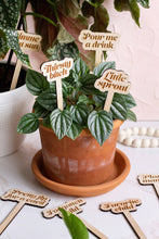Load image into Gallery viewer, Funny Wooden Plant Markers: &quot;I will survive&quot;
