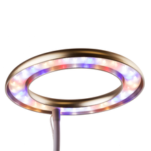 Load image into Gallery viewer, The Perfect Gift for Plant Lovers: Thrive Lite® Full Spectrum LED Grow Light
