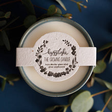 Load image into Gallery viewer, Growing Candle-Willow: Coffee + Cream
