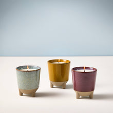 Load image into Gallery viewer, Grow &amp; Glow Candles – A Plant Lover’s Dream Wildflower Fields + Daisy
