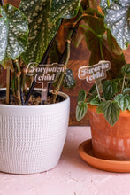 Load image into Gallery viewer, Funny Acrylic Plant Markers: &quot;Give Me A Freakin&#39; Drink&quot;
