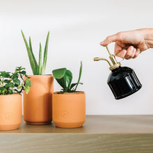 Load image into Gallery viewer, Elegant Plant Misters – The Perfect Companion for Growing Greenery
